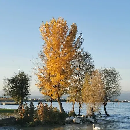 Lamagia Di Corte Moronati *